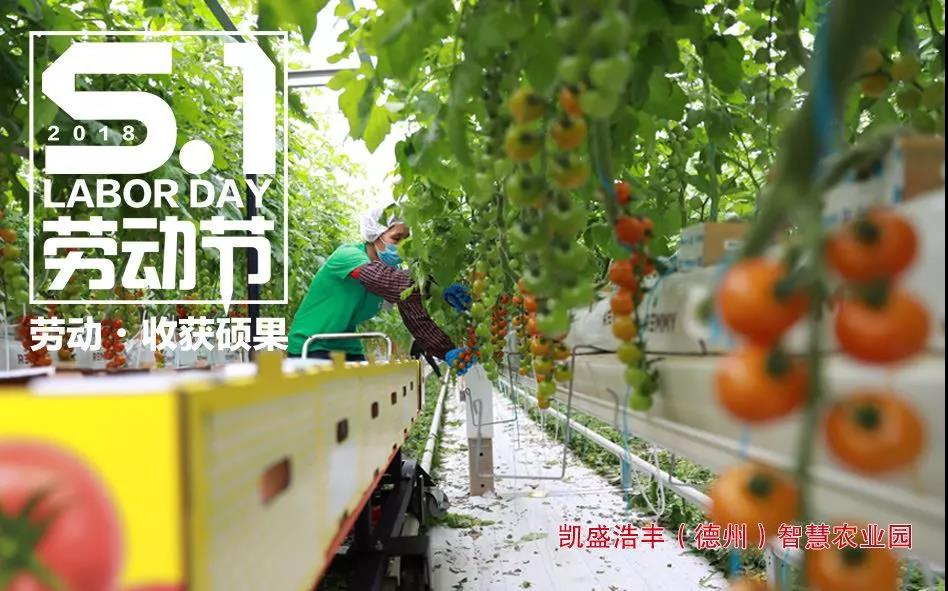 港澳新宝典正版资料库